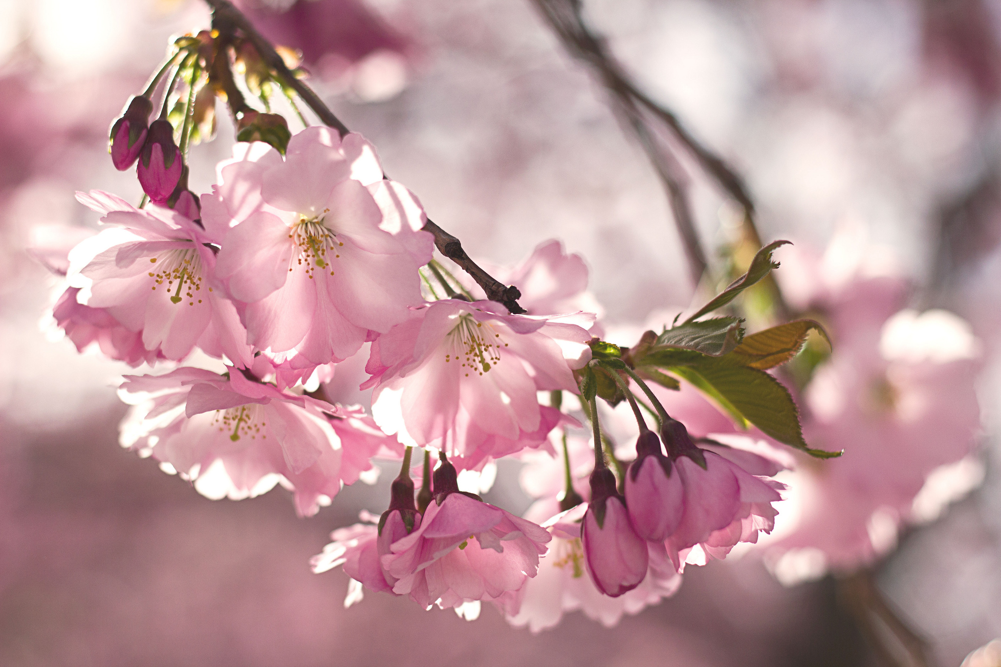 Nyhetsbrev februari 2026